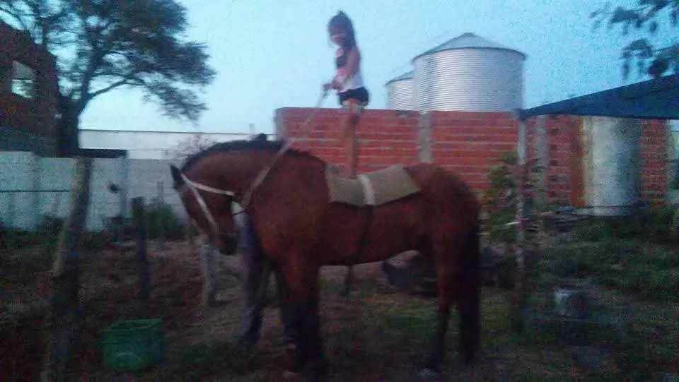 WhatsApp Image 2025-09-30 at 9.55.26 PM (2)