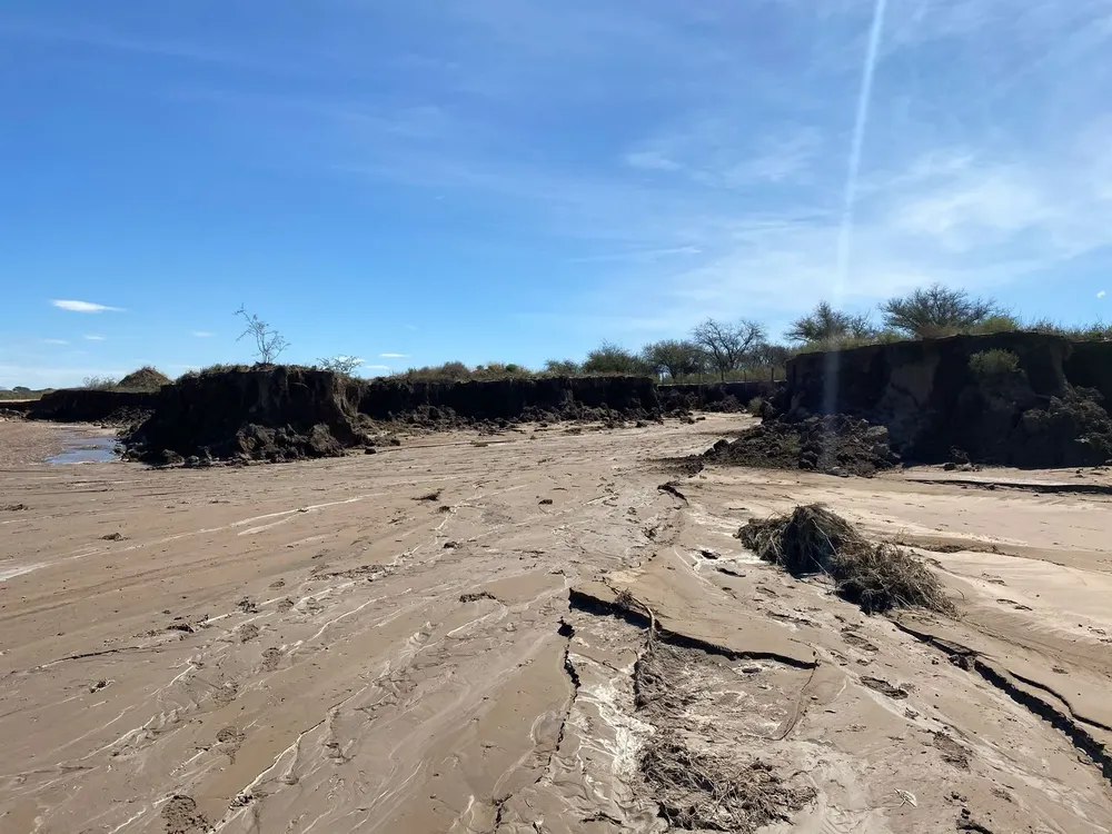 WhatsApp Image 2025-03-10 at 9.54.38 PM (1)