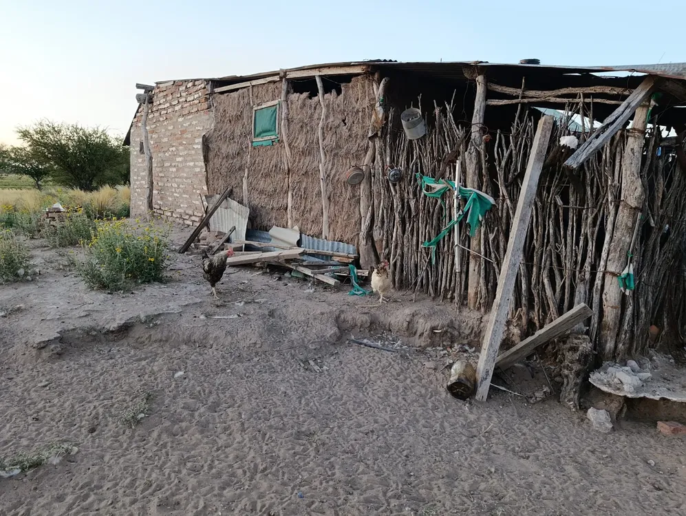 WhatsApp Image 2026-03-20 at 7.30.04 PM