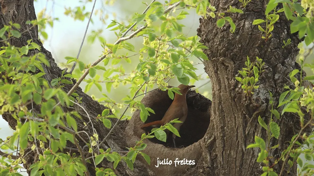 WhatsApp Image 2024-09-19 at 10.51.38 PM