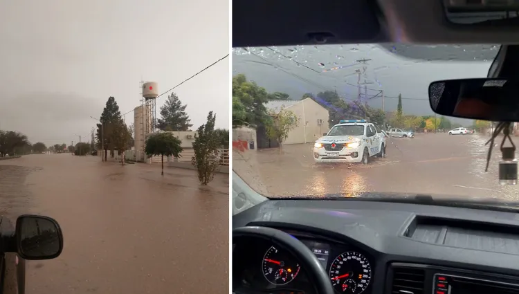 Copia de Copia de Copia de Copia de Copia de video audio algarrobo (2)