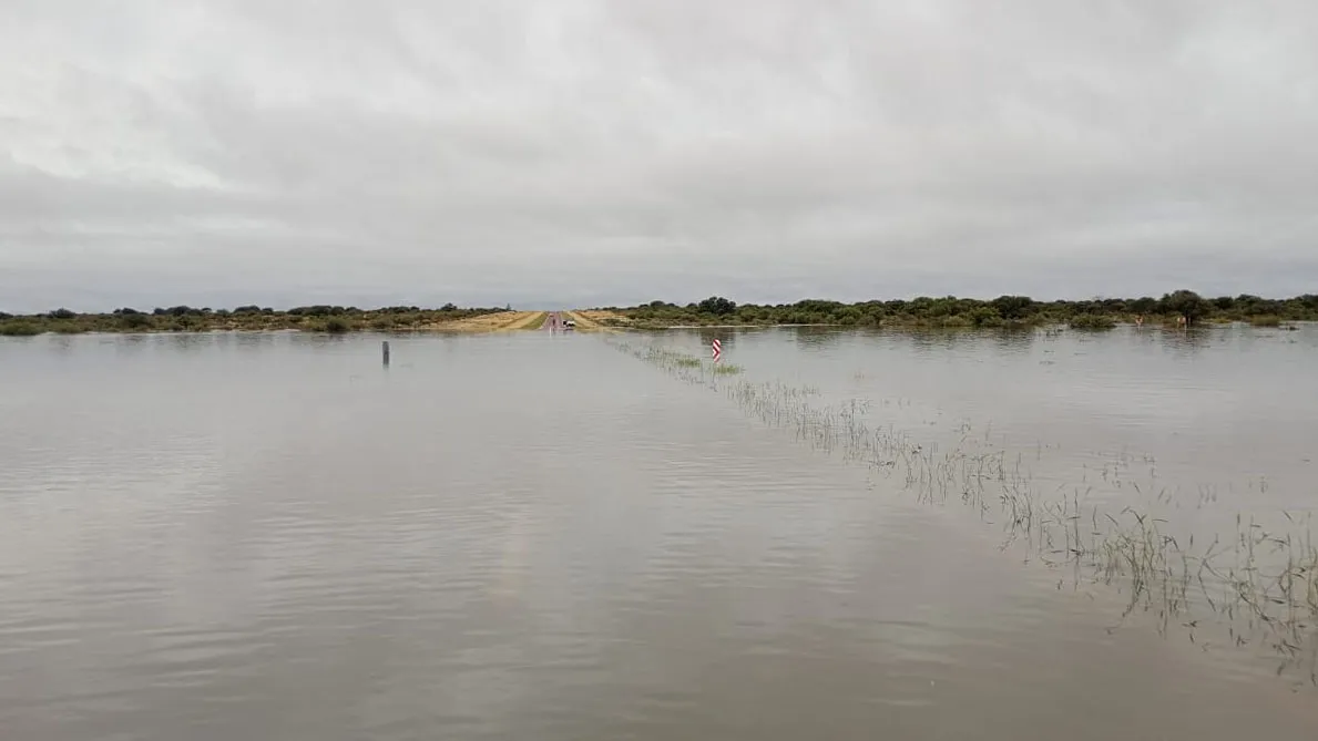 Ruta Nacional 154 km 61