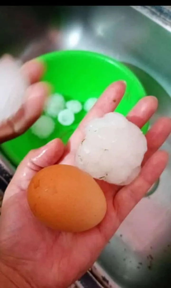 WhatsApp Image 2024-11-25 at 11.05.34 PM