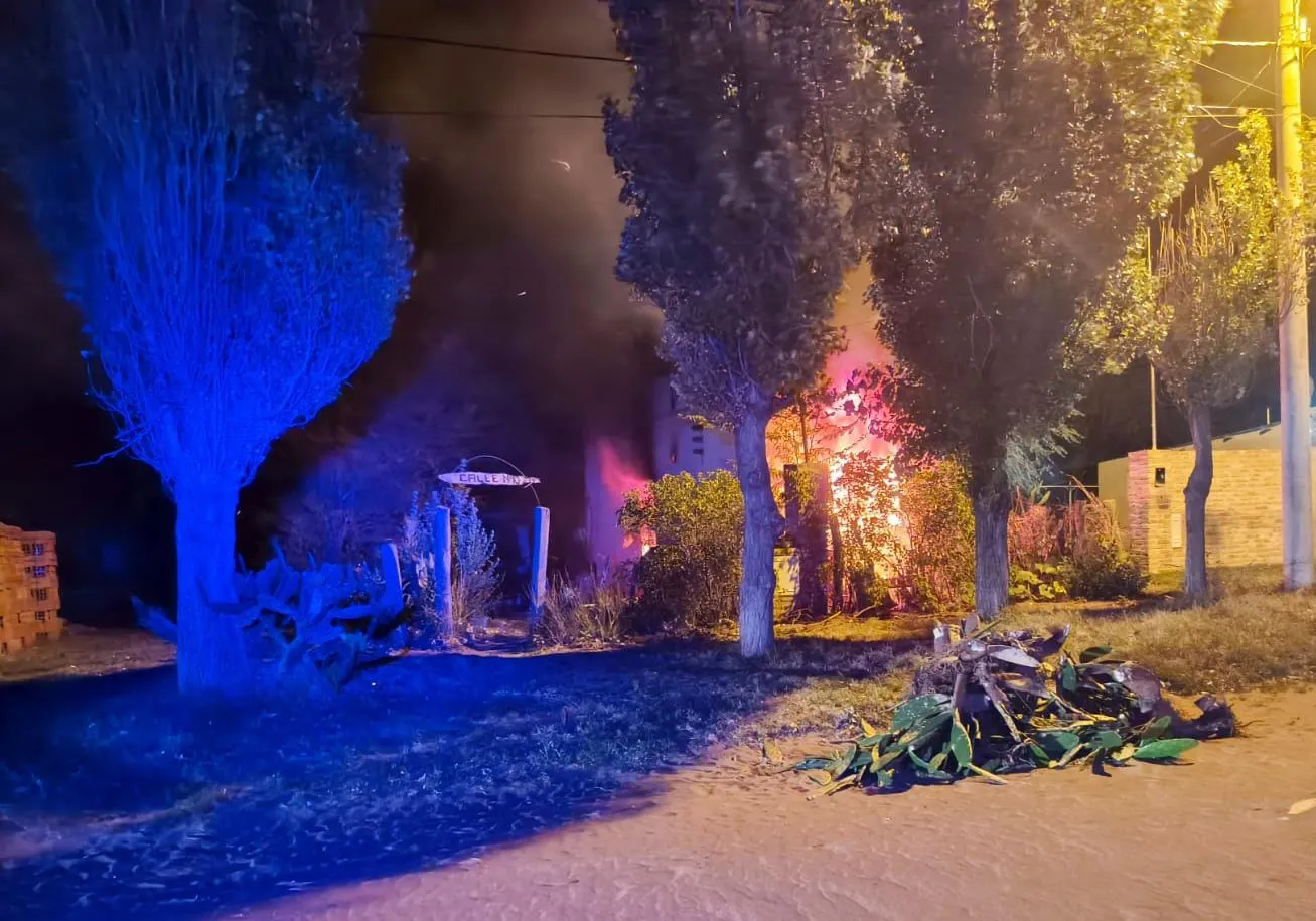 WhatsApp Image 2026-01-22 at 8.21.08 AM