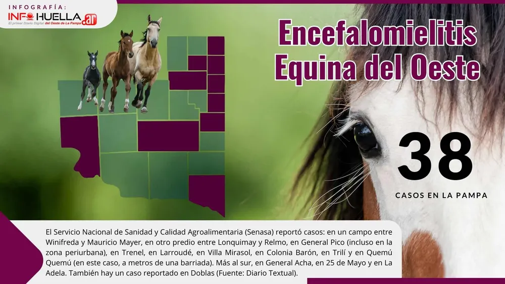 Copia de Copia de Copia de Copia de Copia de Copia de Copia de Copia de la miercoles banners (1000 × 1000 px) (1500 × 250 px) (800 × 250 px)