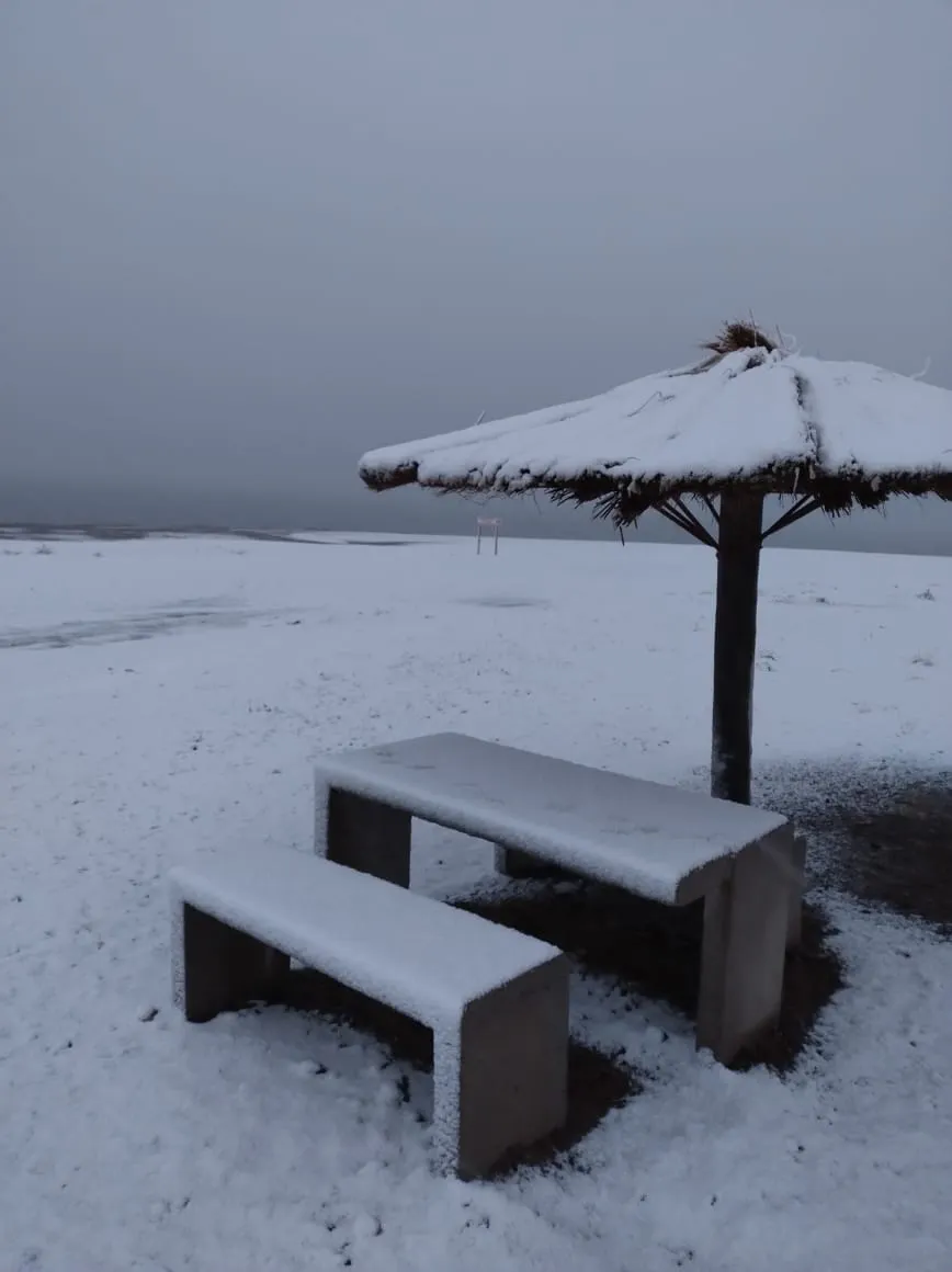 WhatsApp Image 2024-08-20 at 7.19.16 PM