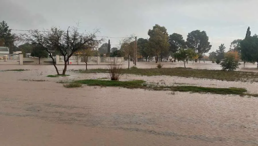 Copia de Copia de Copia de Copia de Copia de video audio algarrobo (5)