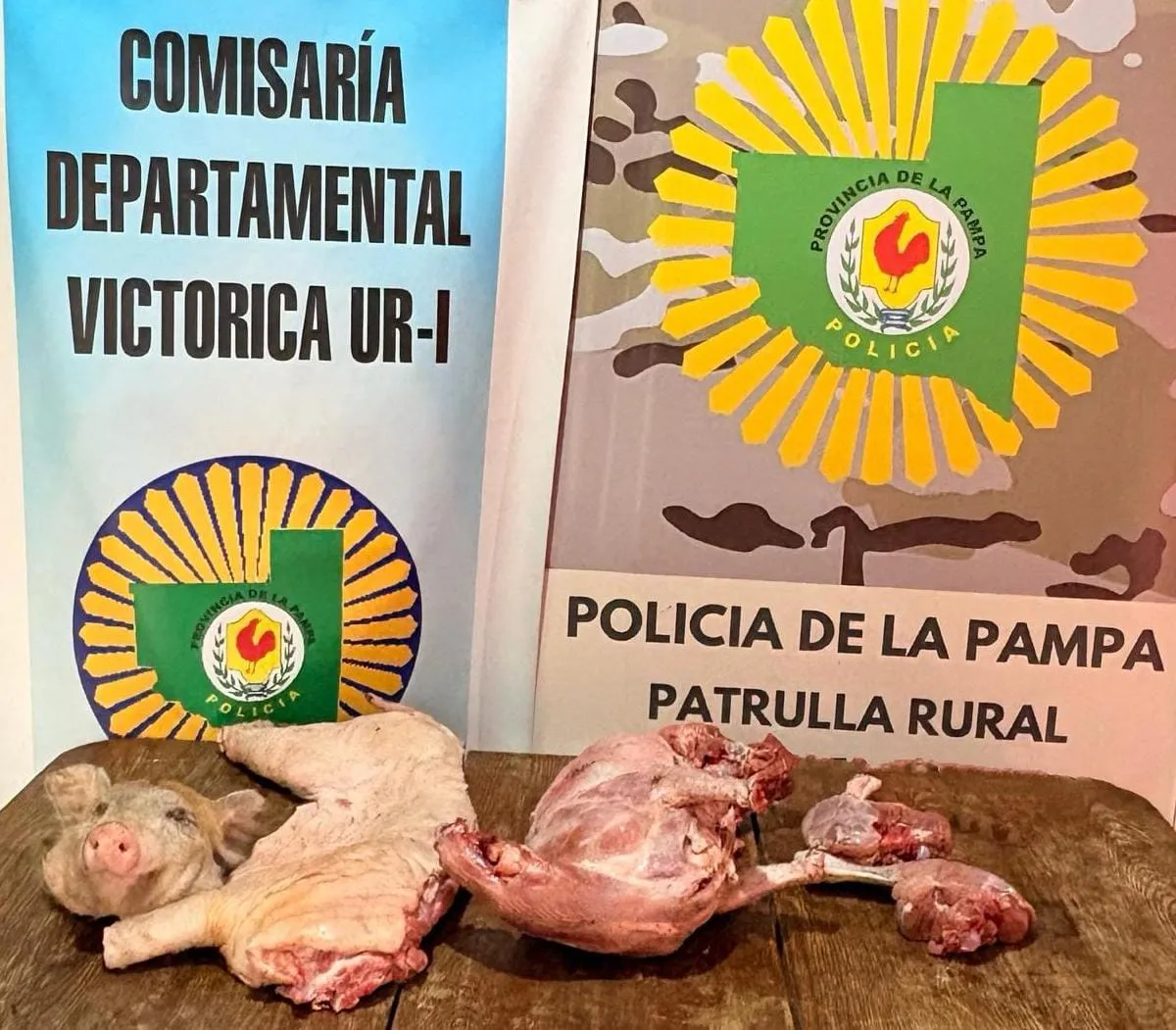 WhatsApp Image 2026-01-08 at 9.28.56 PM