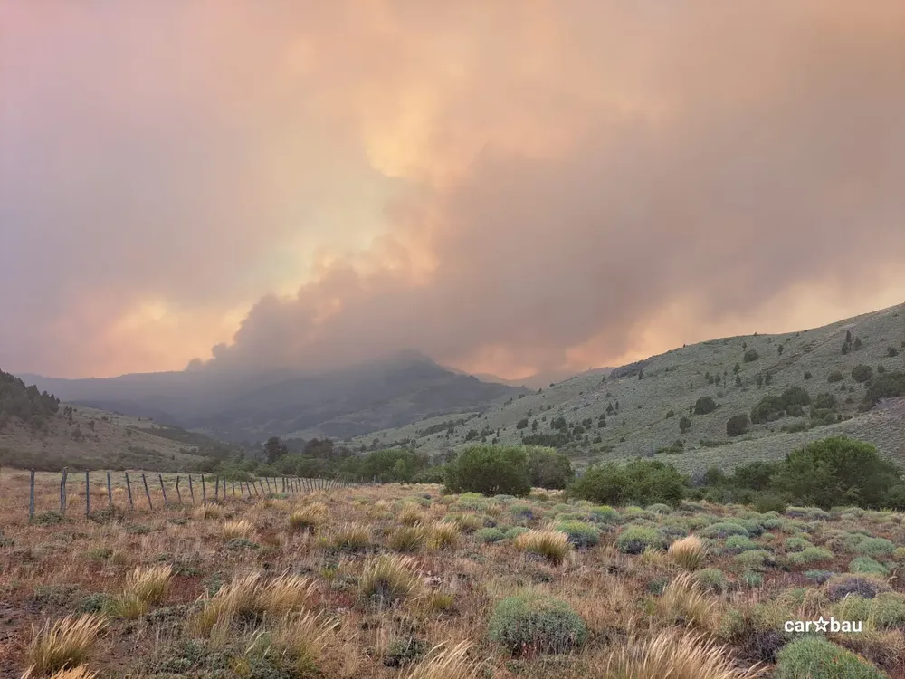 WhatsApp Image 2025-02-09 at 9.01.35 AM