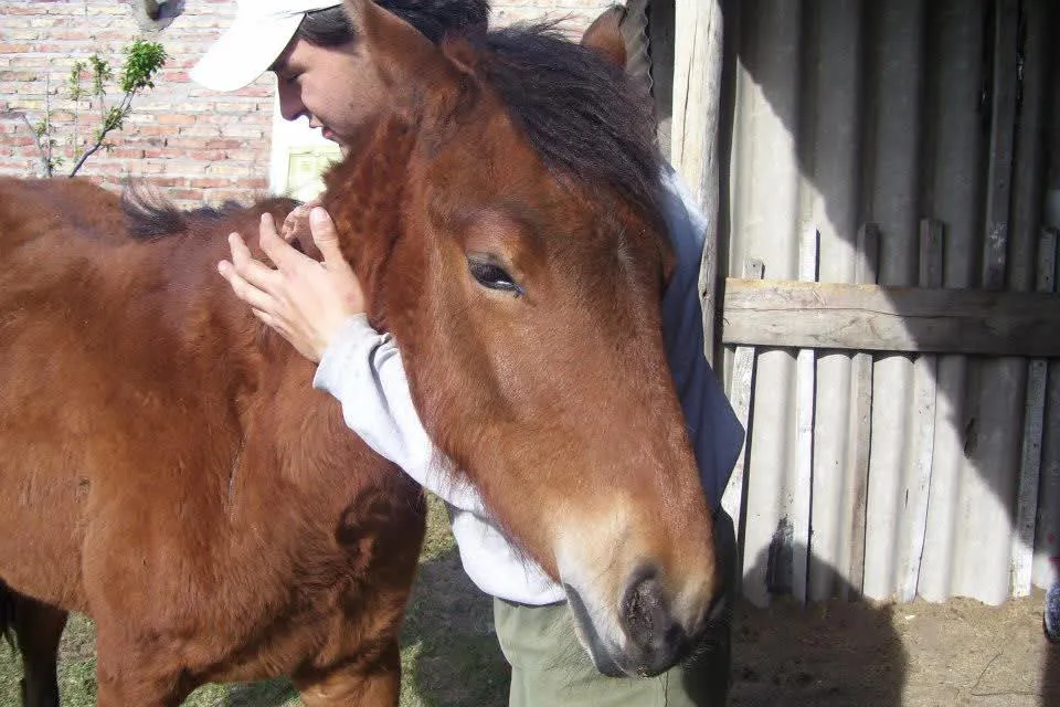 WhatsApp Image 2025-09-30 at 9.55.27 PM (2)