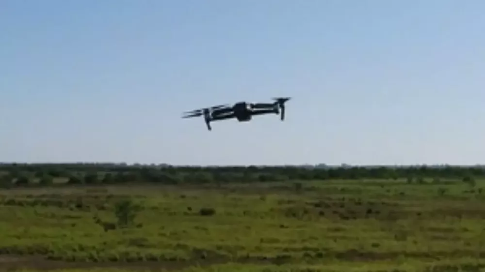 dronesscabandd
