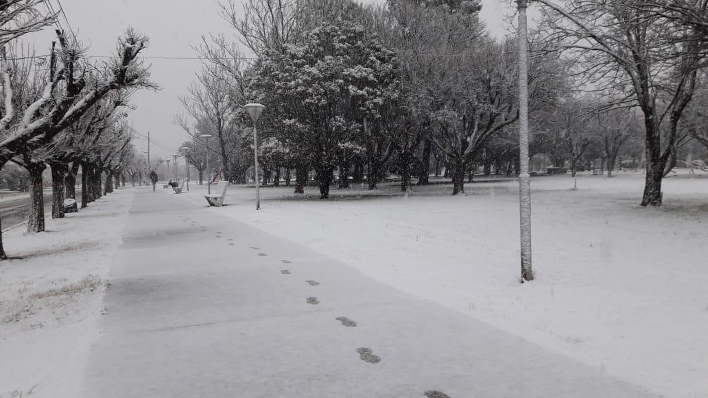 nevvd5