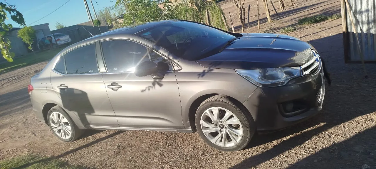 WhatsApp Image 2025-02-20 at 1.01.27 PM (1)