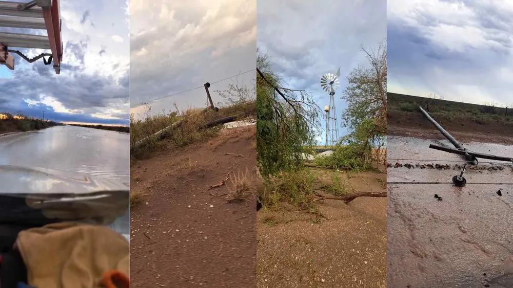 Copia de Copia de MPF Victorica (1)