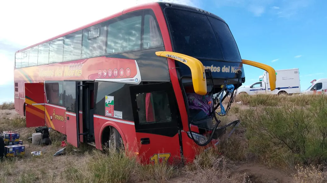 WhatsApp Image 2025-01-18 at 3.49.35 PM