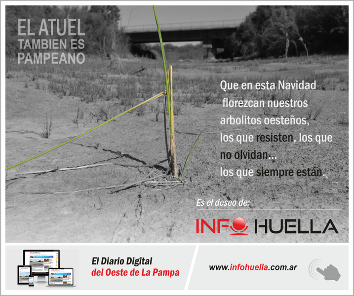 atuel800
