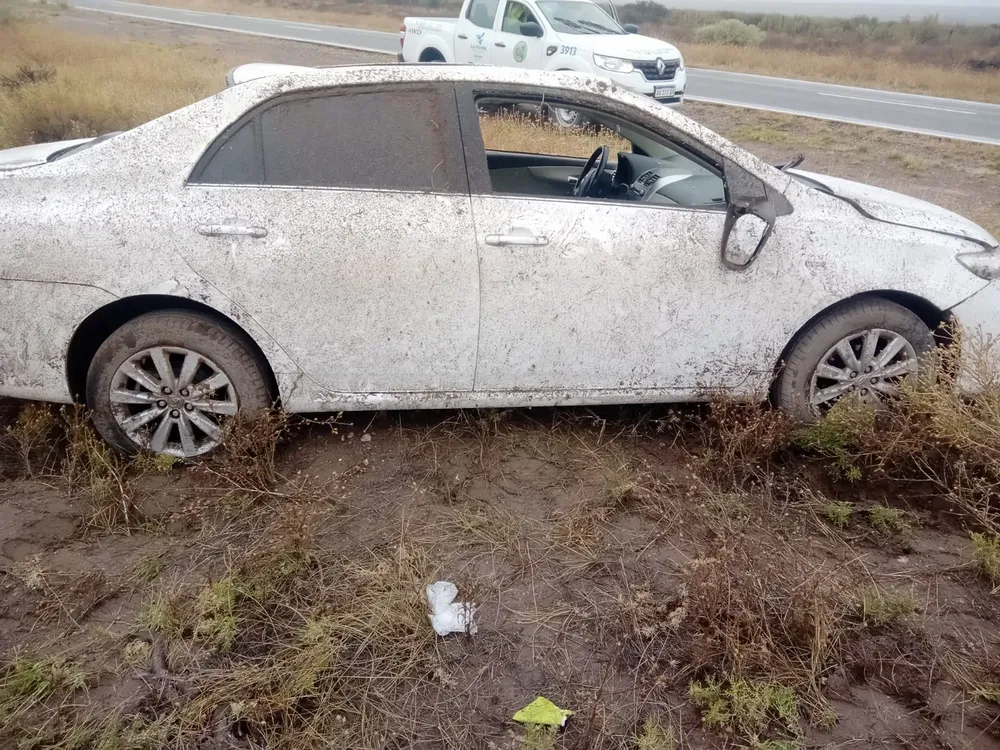 WhatsApp Image 2024-04-14 at 20.25.00