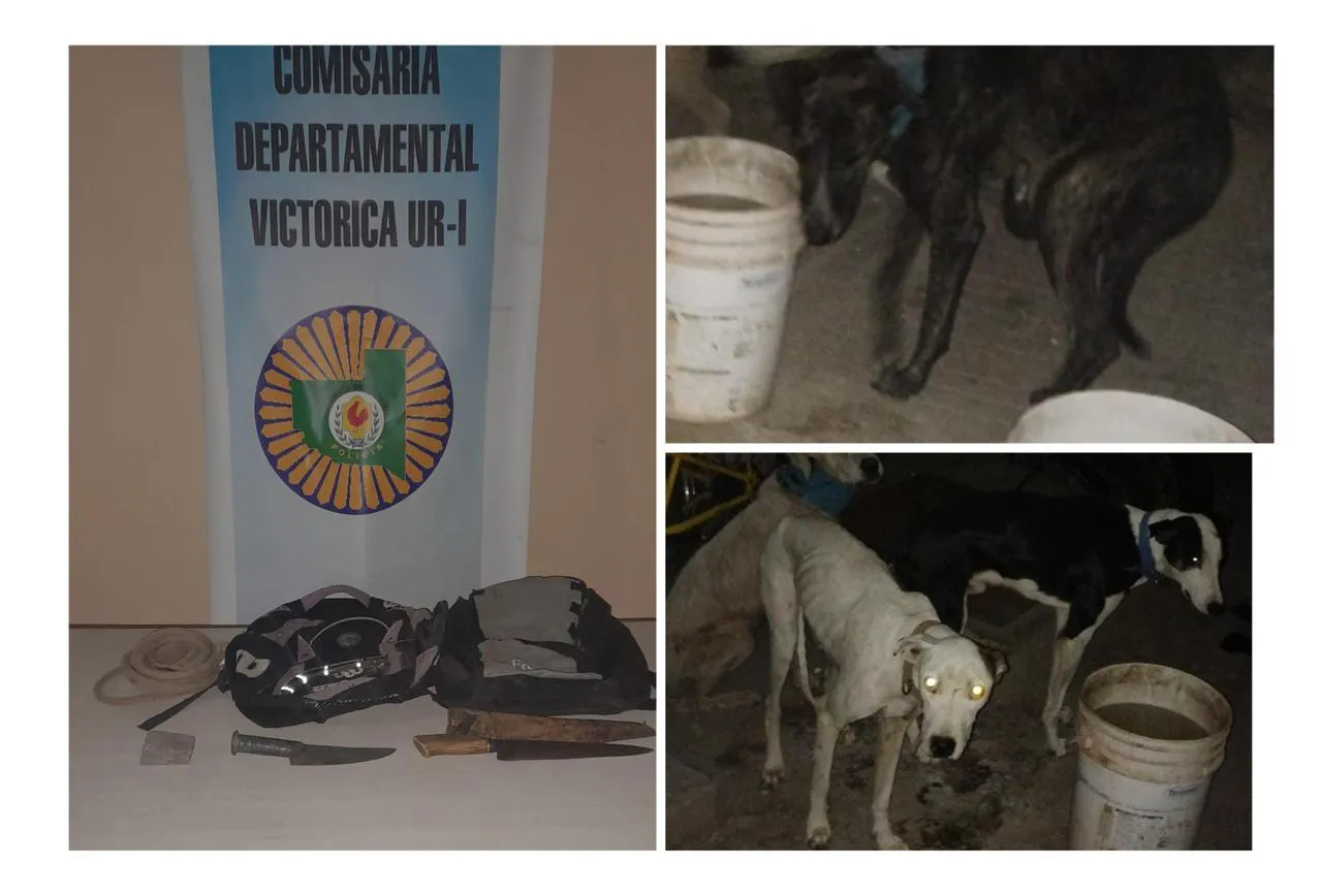 WhatsApp Image 2024-04-04 at 20.08.11