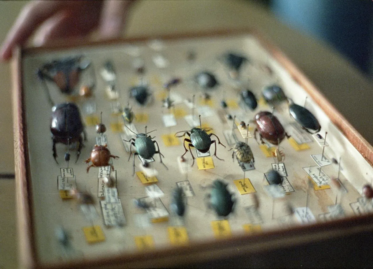 WhatsApp Image 2025-11-04 at 10.30.16 AM