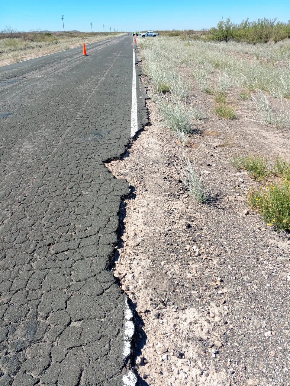 WhatsApp Image 2025-02-16 at 6.12.48 PM (1)