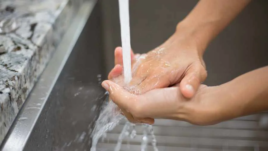 Copia de Copia de Copia de Copia de Copia de video audio algarrobo