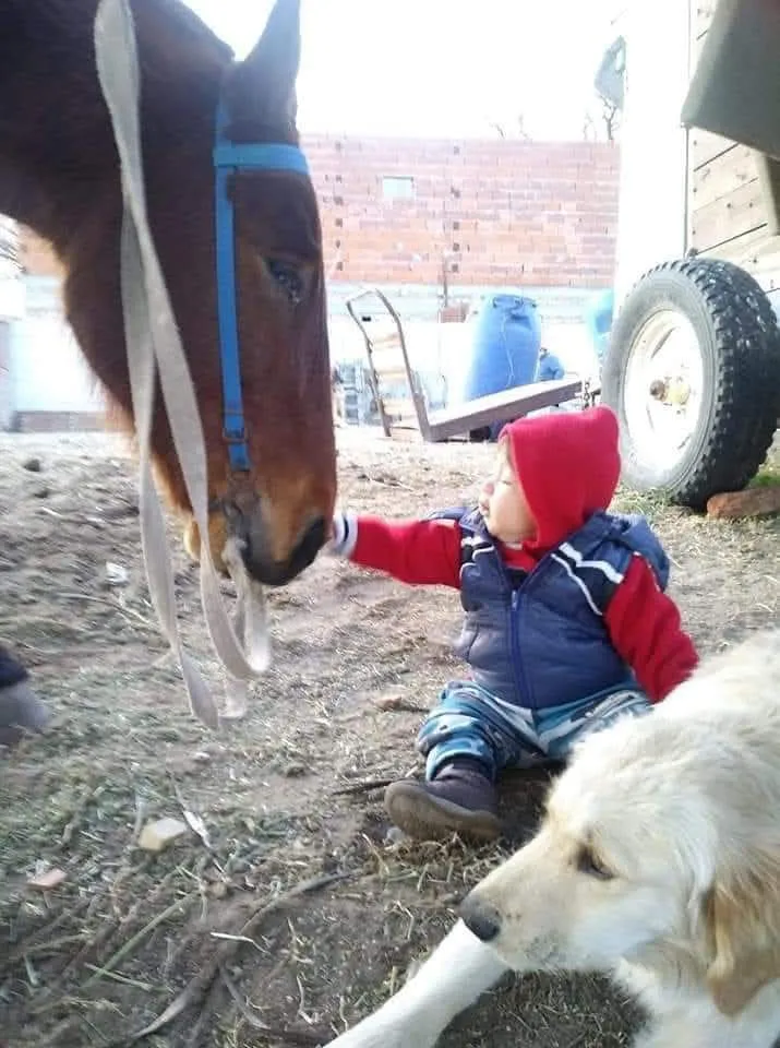 WhatsApp Image 2025-09-30 at 9.55.28 PM