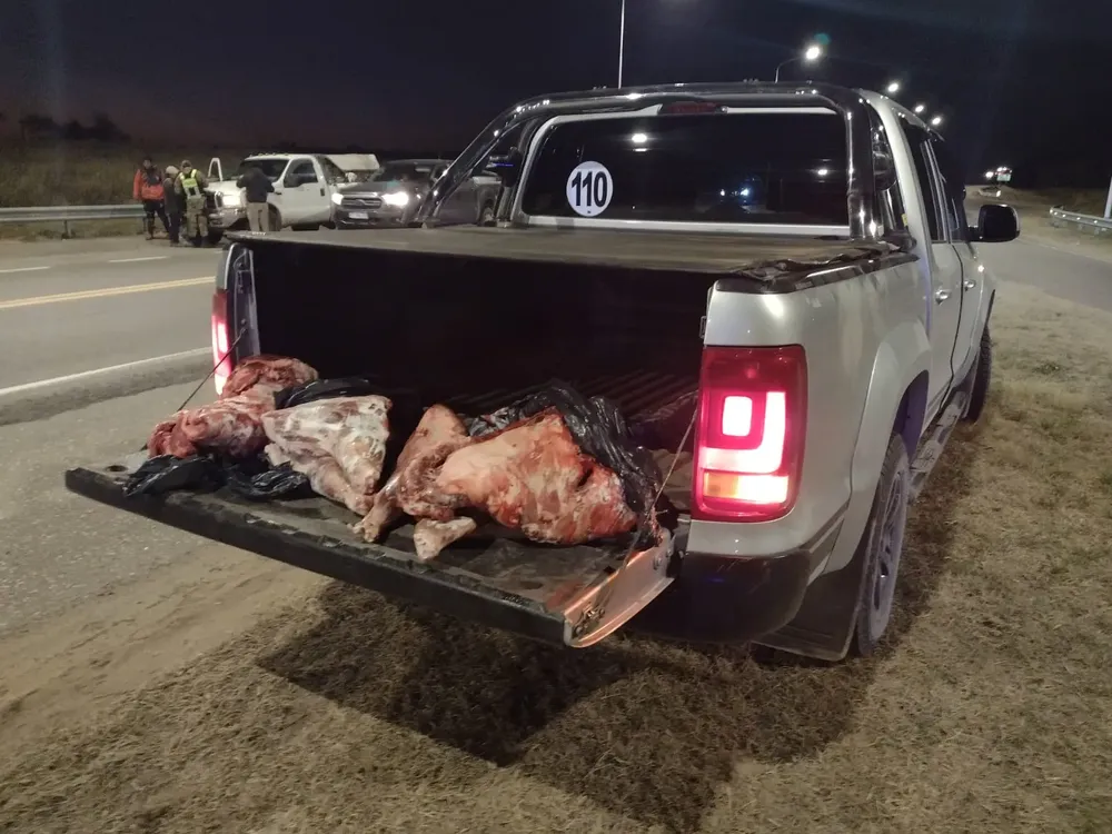 WhatsApp Image 2024-07-17 at 9.35.02 AM