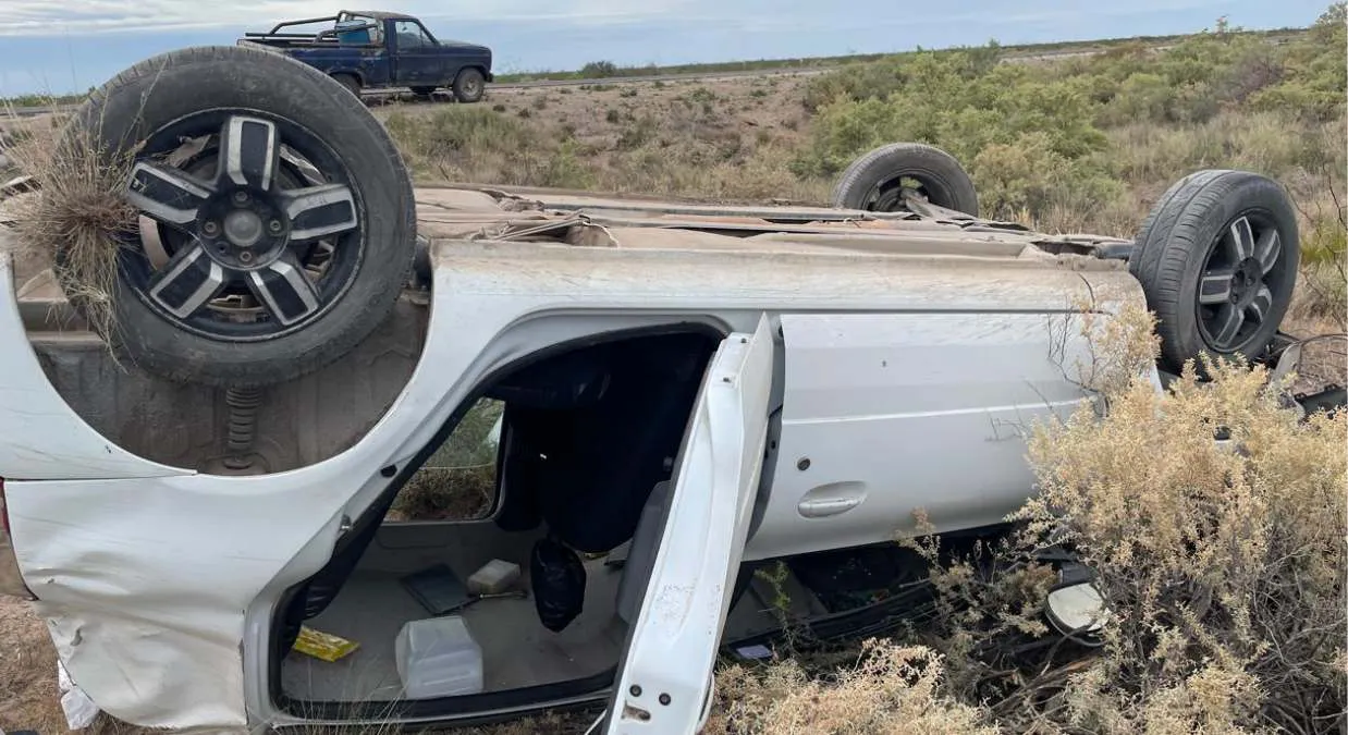 WEB1 (1650 x 900 px) (7)