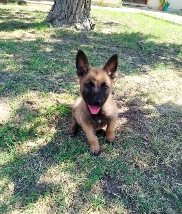 WhatsApp Image 2025-02-22 at 1.40.53 PM