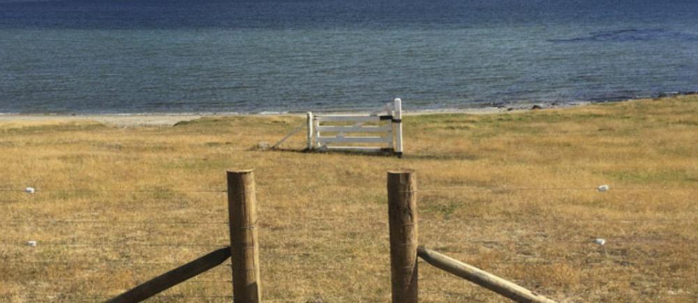 malvvennasarg