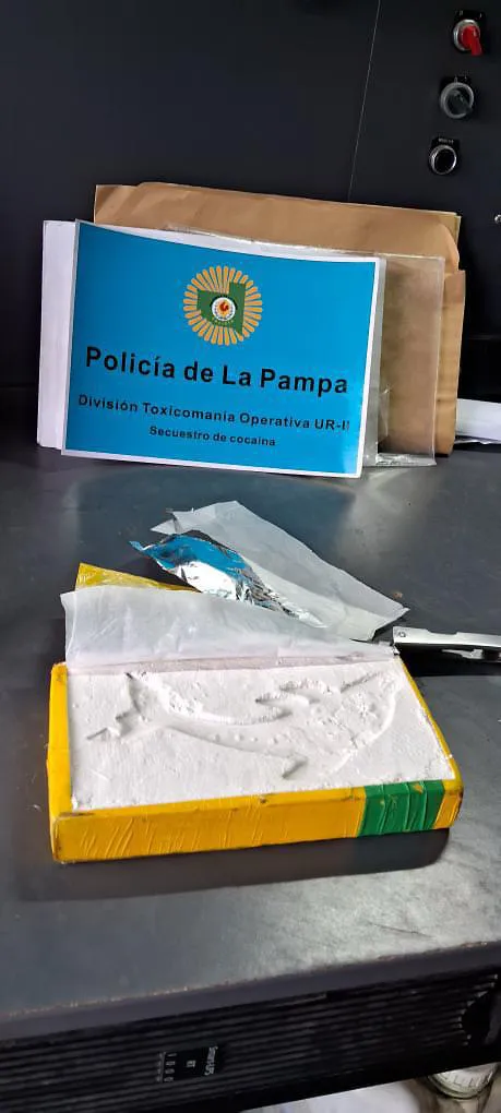 WhatsApp Image 2025-10-24 at 1.52.25 PM