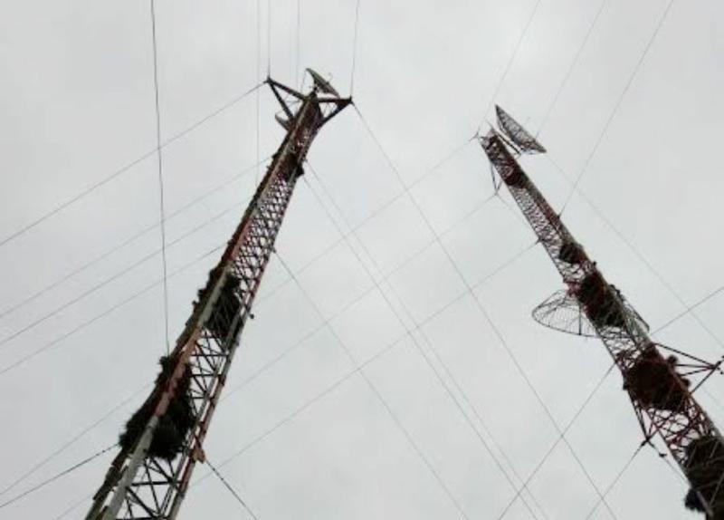antenascald