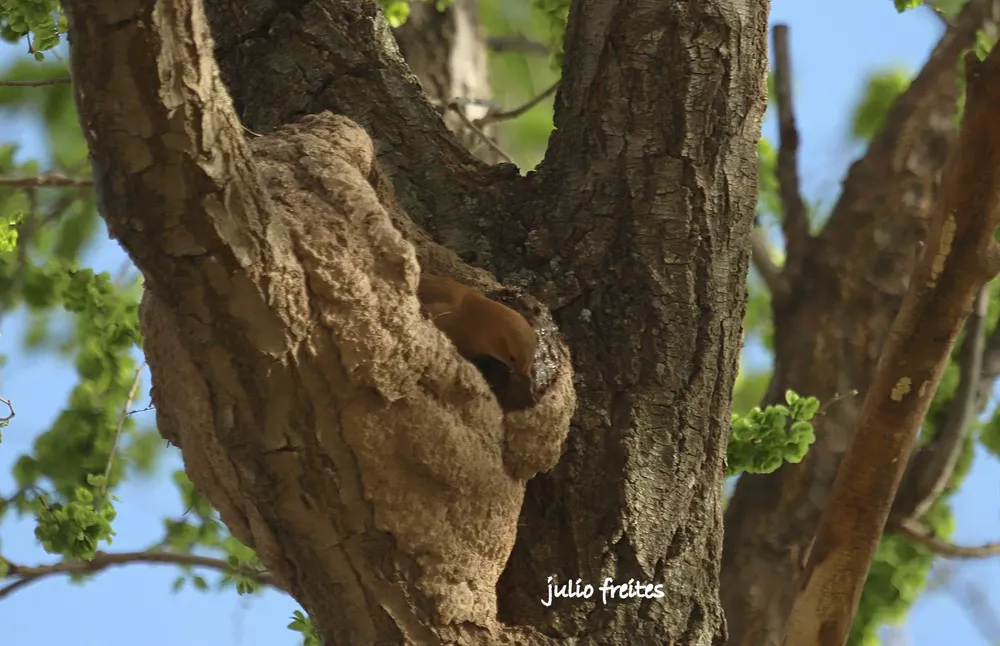 WhatsApp Image 2024-09-19 at 10.53.15 PM (1)