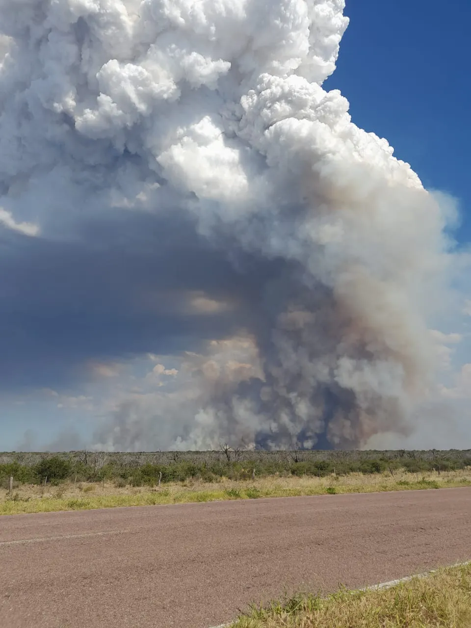 WhatsApp Image 2024-01-29 at 5.42.55 PM