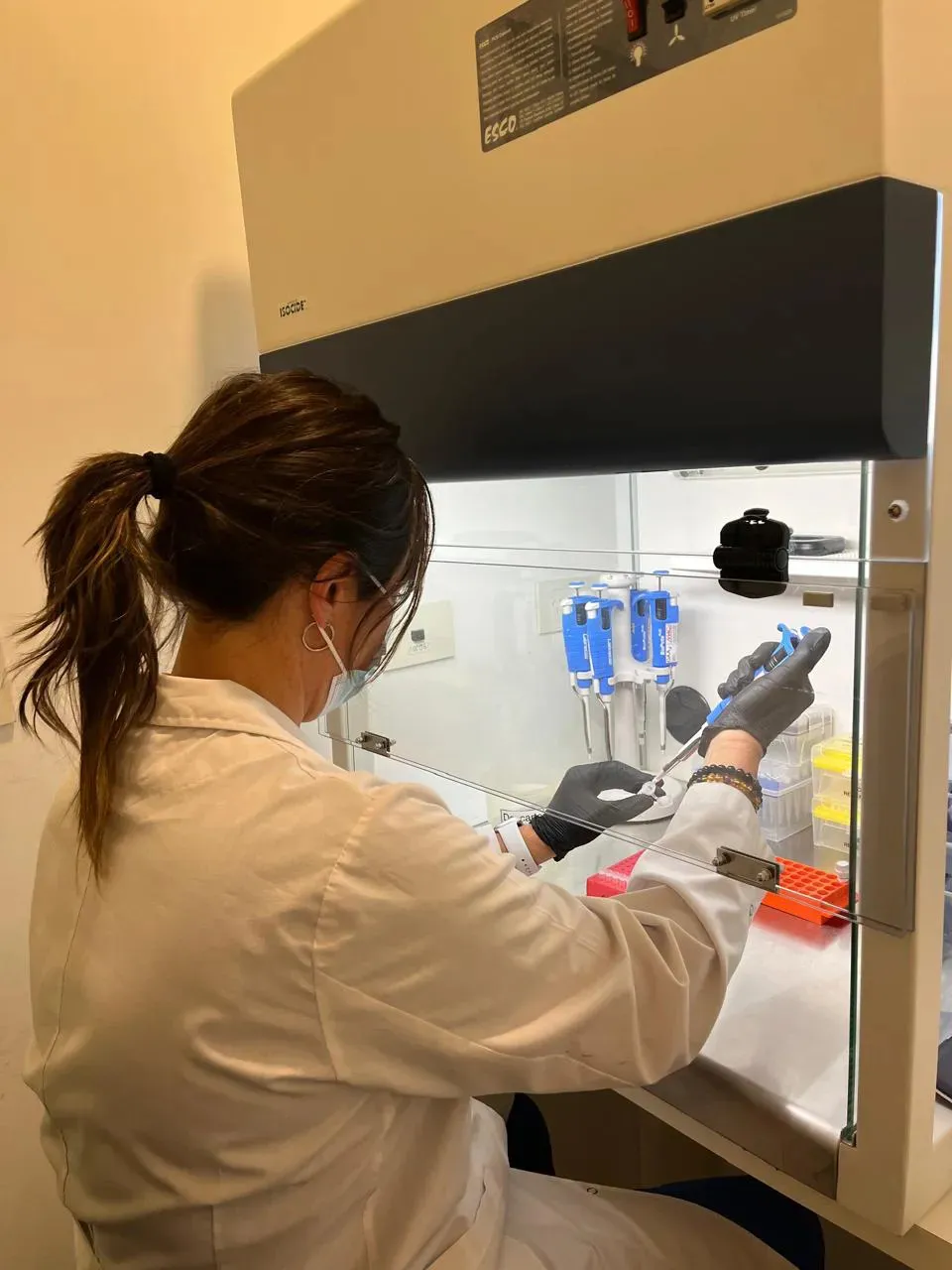 WhatsApp Image 2025-08-06 at 2.01.44 PM