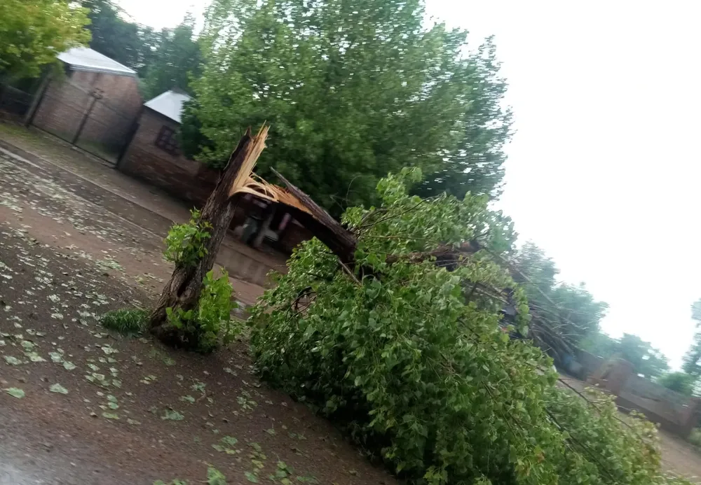 WhatsApp Image 2026-01-23 at 7.30.28 PM