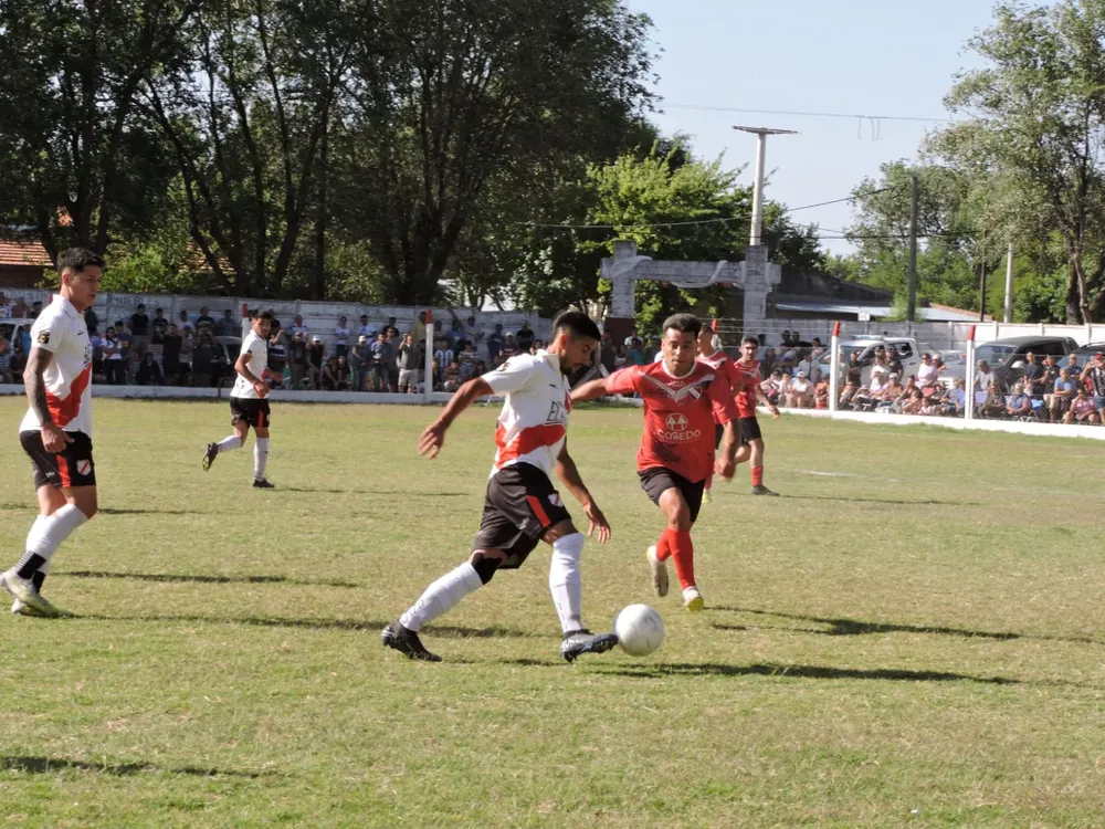 WhatsApp Image 2024-12-01 at 5.57.24 PM (1)