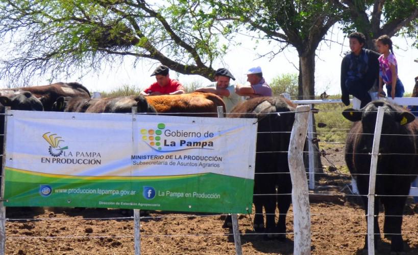 lapampaproducc