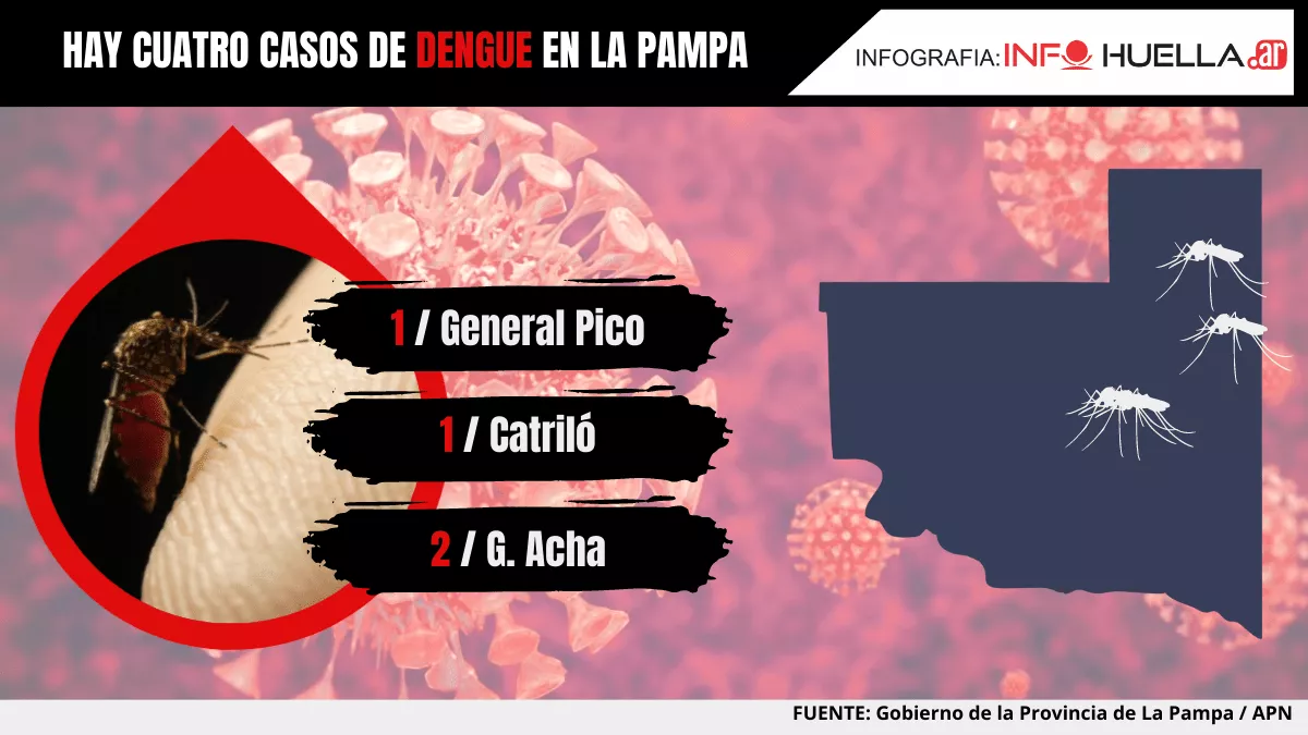 dengueinfograff