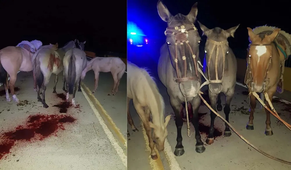 Sin título (1350 x 1080 px) (1350 x 1080 px) (1550 x 1080 px) (1850 x 1080 px) (6)