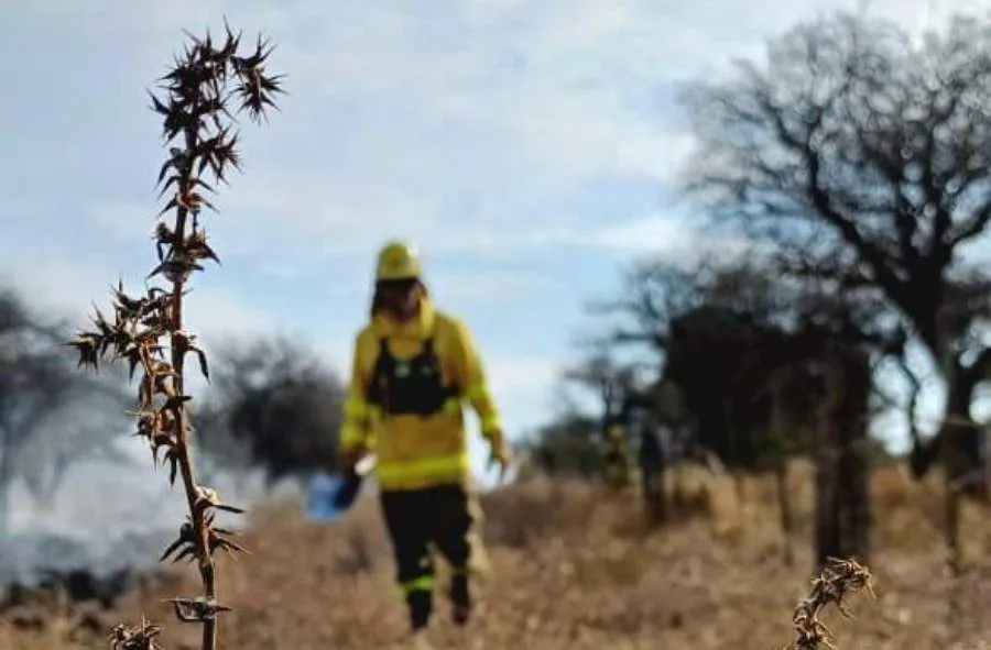 Copia de Copia de Copia de Copia de Copia de Copia de Green and Yellow Modern Grocery Discount Catalog  Flyer (1080 x 1920 px) (2)