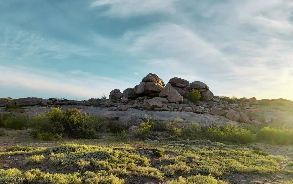 WhatsApp Image 2025-02-13 at 6.45.58 AM (3)