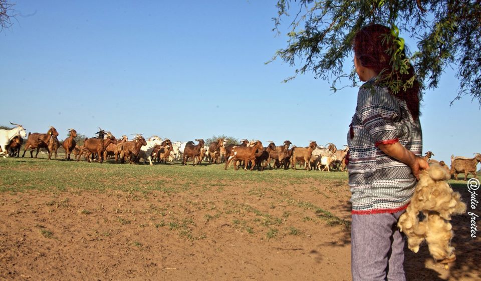 amoblarrguugffdrgtgtfghfgt