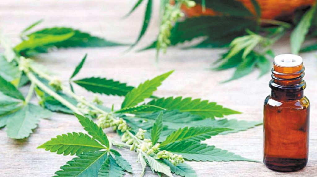 cannab2