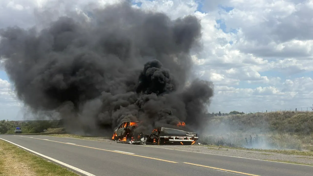 WhatsApp Image 2025-11-11 at 9.10.59 AM (3)