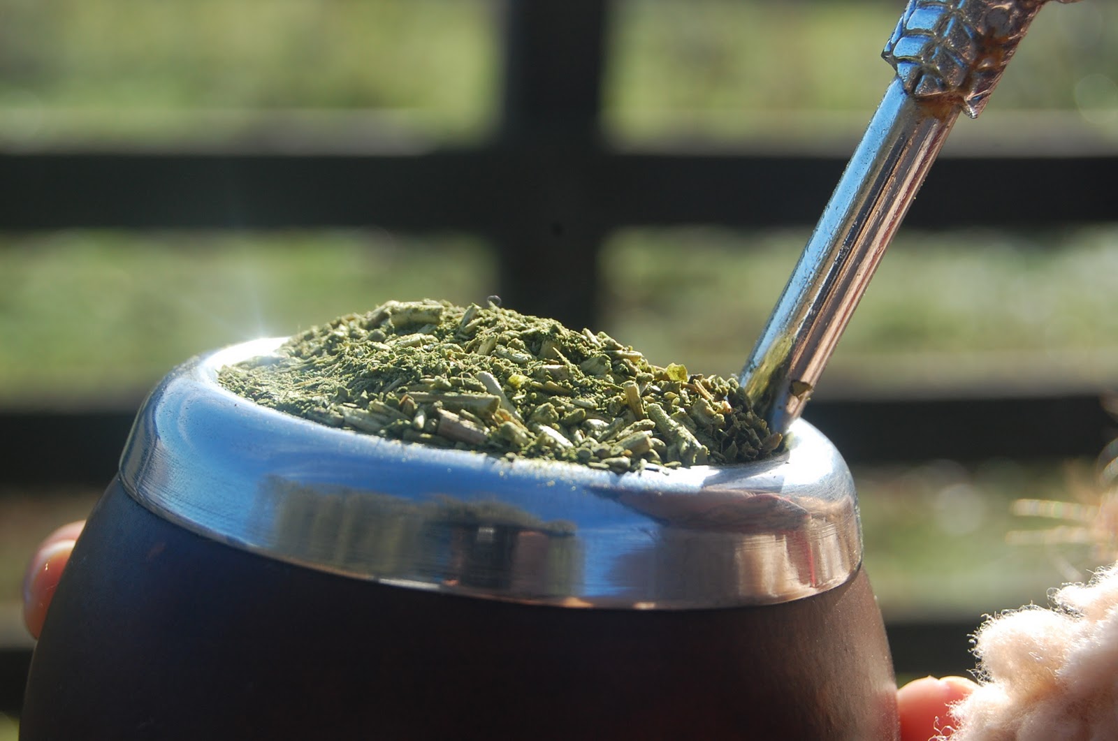 matefotoo