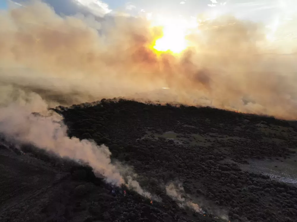 WhatsApp Image 2022-01-15 at 6.43.34 PM