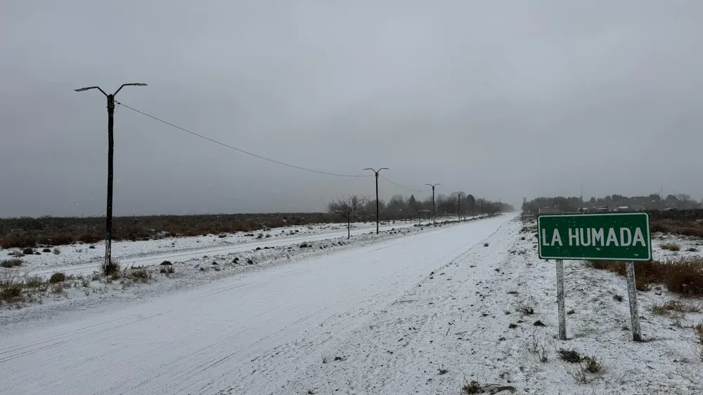 WhatsApp Image 2025-06-28 at 9.47.49 AM