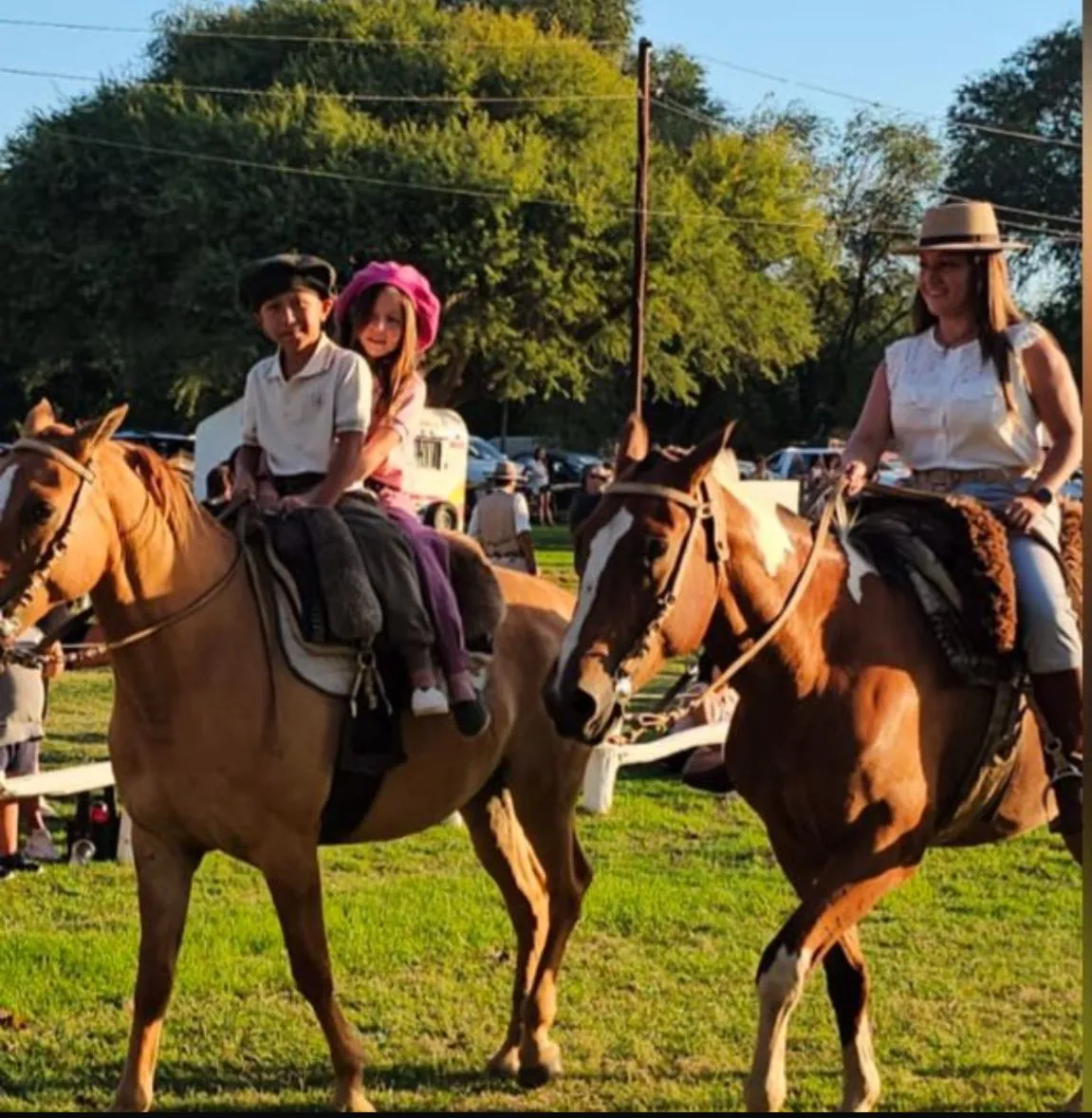 WhatsApp Image 2025-02-17 at 1.25.53 PM (1)