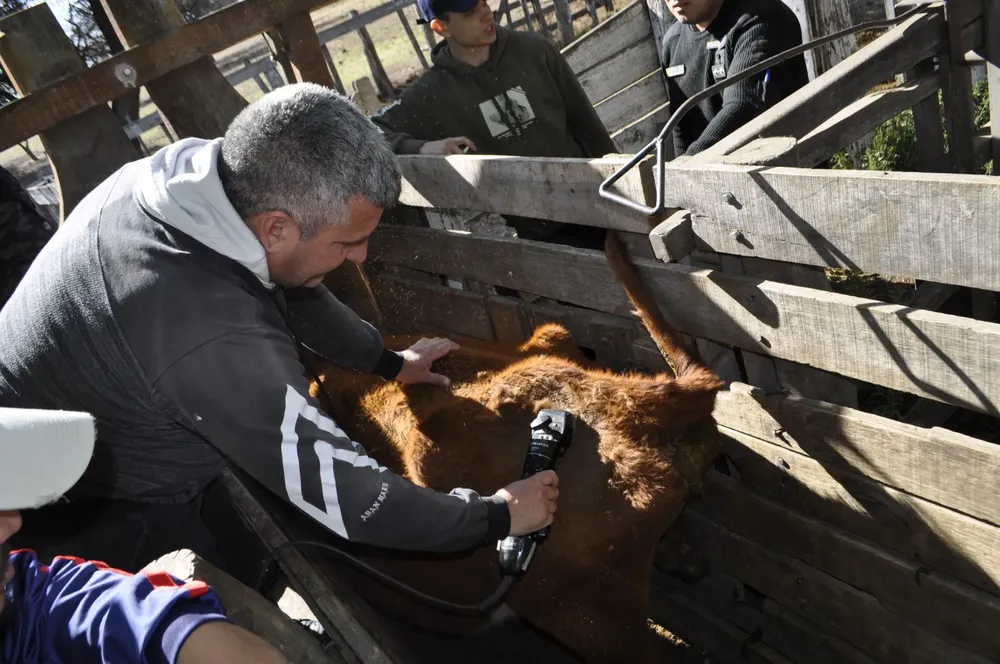 WhatsApp Image 2024-05-27 at 11.59.37 AM (1)